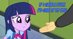 Size: 1018x548 | Tagged: safe, derpibooru import, flash sentry, twilight sparkle, blue text, image macro, reaction image, vulgar