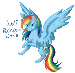 Size: 3125x3035 | Tagged: safe, artist:dari-draws, derpibooru import, rainbow dash, wolf, species swap, wolf dash, wolfified