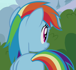 Size: 523x480 | Tagged: safe, derpibooru import, screencap, rainbow dash, pegasus, pony, it ain't easy being breezies, bush, cropped, female, folded wings, mare, plot, solo