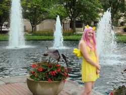 Size: 960x720 | Tagged: safe, artist:nighteyescosplay, fluttershy, human, 2013, convention, cosplay, fountain, irl, irl human, my little pony fair, photo, solo, water