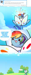 Size: 672x1608 | Tagged: safe, artist:pekou, derpibooru import, rainbow dash, pegasus, pony, ask my little chubbies, ask, chubbie, comic, female, flower, mare, solo, tumblr