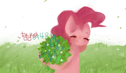 Size: 800x464 | Tagged: safe, artist:pongtang, pinkie pie, earth pony, pony, female, mare, pink coat, pink mane, pixiv, solo