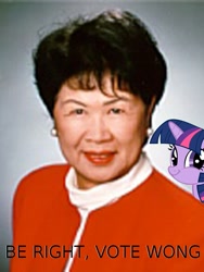 Size: 600x800 | Tagged: safe, derpibooru import, twilight sparkle, human, irl, irl human, martha wong, photo, twiface, wong neighborhood, wrong neighborhood