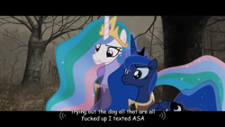 Size: 854x480 | Tagged: safe, screencap, princess celestia, princess luna, alicorn, pony, meme, two best sisters play, youtube caption