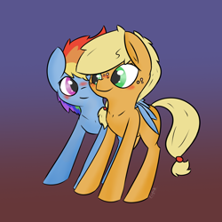 Size: 1920x1920 | Tagged: safe, artist:ezupack, derpibooru import, applejack, rainbow dash, earth pony, pegasus, pony, appledash, blushing, cuddling, cute, female, happy, lesbian, looking at each other, mare, shipping, signature, simple background, smiling, wing blanket