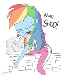 Size: 836x1024 | Tagged: safe, artist:sudosnz, derpibooru import, edit, rainbow dash, equestria girls, clothes, color, jeans, sitting, sneezing, sneezing fetish