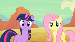 Size: 500x281 | Tagged: safe, derpibooru import, fluttershy, twilight sparkle, pegasus, pony, animated, animated actors, behind the scenes, caption, dialogue, fourth wall, smile hd