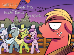 Size: 630x472 | Tagged: safe, derpibooru import, idw, big macintosh, twilight sparkle, earth pony, pony, spoiler:comic, comic, katie cook, male, panel, plot, stallion, wtf