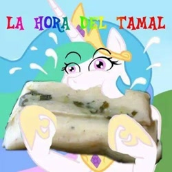 Size: 480x480 | Tagged: safe, princess celestia, alicorn, pony, eating, food, mexican, mexico, nom, spanish, tamal, translated in the comments, wat