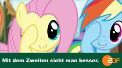 Size: 1280x720 | Tagged: safe, artist:szinthom, derpibooru import, fluttershy, rainbow dash, pegasus, pony, eyes closed, german, hooves, television, tv station, zdf