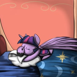 Size: 1080x1080 | Tagged: safe, artist:geneticanomaly, derpibooru import, twilight sparkle, twilight sparkle (alicorn), alicorn, pony, female, mare, sleeping, solo, tumblr