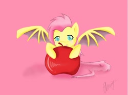 Size: 1024x760 | Tagged: safe, artist:emma-leejane, fluttershy, apple, flutterbat, solo, species swap