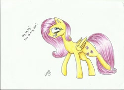 Size: 1024x745 | Tagged: safe, artist:careness, fluttershy, pegasus, pony, .mov, ear fluff, fangs, fluttershed, grin, looking at you, shed.mov, smiling, solo, walking, wide eyes