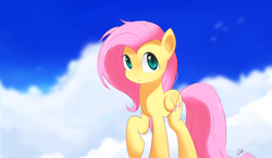 Size: 4404x2564 | Tagged: safe, artist:repoisn, fluttershy, pegasus, pony, cloud, cloudy, cute, looking up, shyabetes, sky, smiling, solo