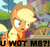 Size: 812x768 | Tagged: safe, applejack, earth pony, pony, pinkie apple pie, glare, image macro, meme, solo, u wot m8