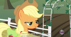 Size: 1153x608 | Tagged: safe, screencap, applejack, earth pony, pony, pinkie apple pie, hub logo, lidded eyes, meme, smiling, solo, youtube caption