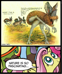 Size: 397x474 | Tagged: safe, fluttershy, pegasus, pony, after man a zoology of the future, blue coat, blue eyes, dialogue, dougal dixon, exploitable meme, female, looking up, mare, meme, multicolored tail, nature is so fascinating, night stalker, nightmare fuel, pink coat, pink mane, smiling, speech bubble, wings, yellow coat