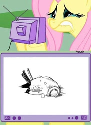 Size: 365x500 | Tagged: safe, fluttershy, pegasus, pony, crying, exploitable meme, fluttercry, one piece, roronoa zoro, tv meme