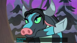 Size: 1920x1080 | Tagged: safe, edit, edited screencap, screencap, queen chrysalis, changeling, changeling queen, ophiotaurus, frenemies (episode), caption, disguise, disguised changeling, meme, youtube caption