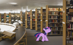 Size: 1680x1050 | Tagged: safe, artist:faron123123, derpibooru import, twilight sparkle, book, library, ponies in real life