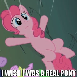 Size: 520x522 | Tagged: safe, pinkie pie, spike, dragon, earth pony, pony, image macro, on back, puppet