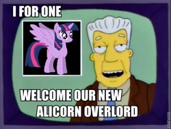 Size: 510x384 | Tagged: safe, derpibooru import, twilight sparkle, twilight sparkle (alicorn), alicorn, kent brockman, meme, overlord, text, the simpsons