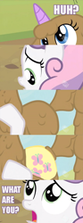 Size: 500x1351 | Tagged: safe, derpibooru import, fluttershy, rarity, sweetie belle, twilight sparkle, chimera, pegasus, pony, unicorn, abomination, caption, comic