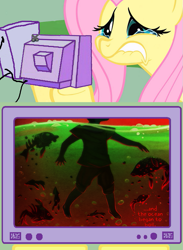 Size: 563x771 | Tagged: safe, fluttershy, fish, pegasus, pony, ava's demon, computer, exploitable meme, fluttercry, gil marverde, tv meme