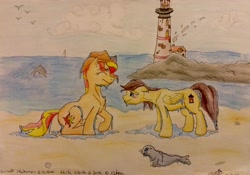 Size: 2433x1705 | Tagged: safe, artist:perle-de-suie, sunset shimmer, oc, dolphin, pony, seal, beach, lighthouse, traditional art, wet