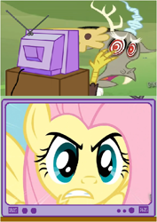 Size: 414x586 | Tagged: safe, discord, fluttershy, pegasus, pony, exploitable meme, the stare, tv meme