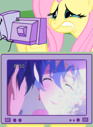 Size: 511x700 | Tagged: safe, fluttershy, pegasus, pony, crying, exploitable meme, fluttercry, nia teppelin, poignant, simon, spoilers for another series, tengen toppa gurren lagann, tv meme