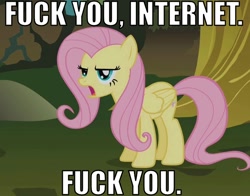 Size: 700x550 | Tagged: safe, edit, edited screencap, screencap, fluttershy, pegasus, pony, bridle gossip, annoyed, caption, cropped, flutterguy, image macro, internet, reaction image, solo, vulgar