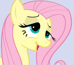 Size: 530x468 | Tagged: safe, fluttershy, pegasus, pony, faic, reaction image, solo