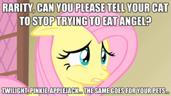 Size: 625x351 | Tagged: safe, fluttershy, pegasus, pony, female, image macro, mare, pink mane, yellow coat