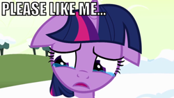 Size: 640x360 | Tagged: safe, derpibooru import, twilight sparkle, crying, image macro, sad