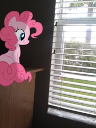 Size: 1952x2592 | Tagged: safe, pinkie pie, irl, photo, ponies in real life, solo, window