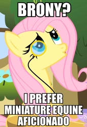 Size: 487x713 | Tagged: safe, fluttershy, pegasus, pony, female, image macro, mare, miniature equine aficionado, monocle