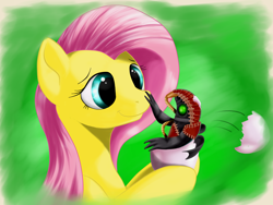 Size: 1600x1200 | Tagged: safe, artist:ac-whiteraven, fluttershy, pegasus, pony, bioshock, bioshock infinite, female, green background, mare, simple background, solo, songbird