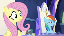 Size: 1920x1080 | Tagged: safe, derpibooru import, screencap, fluttershy, rainbow dash, pegasus, pony, shadow play, book, twilight's castle