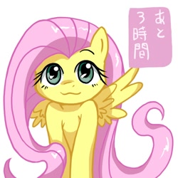 Size: 566x566 | Tagged: safe, artist:itimu, fluttershy, pegasus, pony, :3, japanese, pixiv, smiling, solo