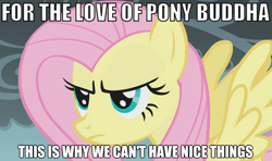 Size: 625x371 | Tagged: safe, edit, edited screencap, screencap, fluttershy, pegasus, pony, dragonshy, angry, buddha, buddhism, image macro, solo