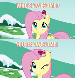 Size: 501x525 | Tagged: safe, fluttershy, bird, pegasus, pony, female, image macro, mare, pink mane, yellow coat