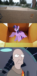 Size: 788x1613 | Tagged: safe, derpibooru import, twilight sparkle, twilight sparkle (alicorn), alicorn, pony, dashie meme, exploitable meme, female, mare, neutral planet ambassador