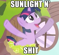 Size: 473x447 | Tagged: safe, derpibooru import, twilight sparkle, twilight sparkle (alicorn), unicorn twilight, alicorn, pony, unicorn, magical mystery cure, season 3, female, image macro, mare, sunlight, vulgar