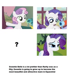 Size: 743x799 | Tagged: safe, rarity, sweetie belle, pony, unicorn, comparison, filly, text, theory