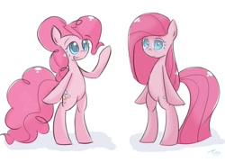 Size: 900x650 | Tagged: safe, artist:taco-slayer, pinkie pie, pony, bipedal, duality, pinkamena diane pie