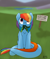 Size: 2190x2584 | Tagged: safe, artist:the-furry-railfan, derpibooru import, rainbow dash, monster pony, original species, pegasus, pony, tatzlpony, cute, grass field, lake, looking at you, looking up, mountain, mountain range, sign, sitting, tatzldash, tentacles, this will end in hugs, valley