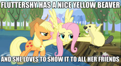 Size: 852x472 | Tagged: safe, color edit, applejack, fluttershy, beaver, earth pony, pegasus, pony, keep calm and flutter on, angry, image macro, mr. beaverton beaverteeth, primus, recolor, song reference, wynona's big brown beaver