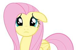 Size: 6000x3968 | Tagged: safe, artist:eipred, fluttershy, pegasus, pony, simple background, transparent background, vector