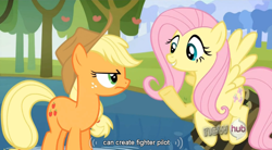 Size: 764x423 | Tagged: safe, screencap, applejack, fluttershy, earth pony, pegasus, pony, keep calm and flutter on, youtube caption